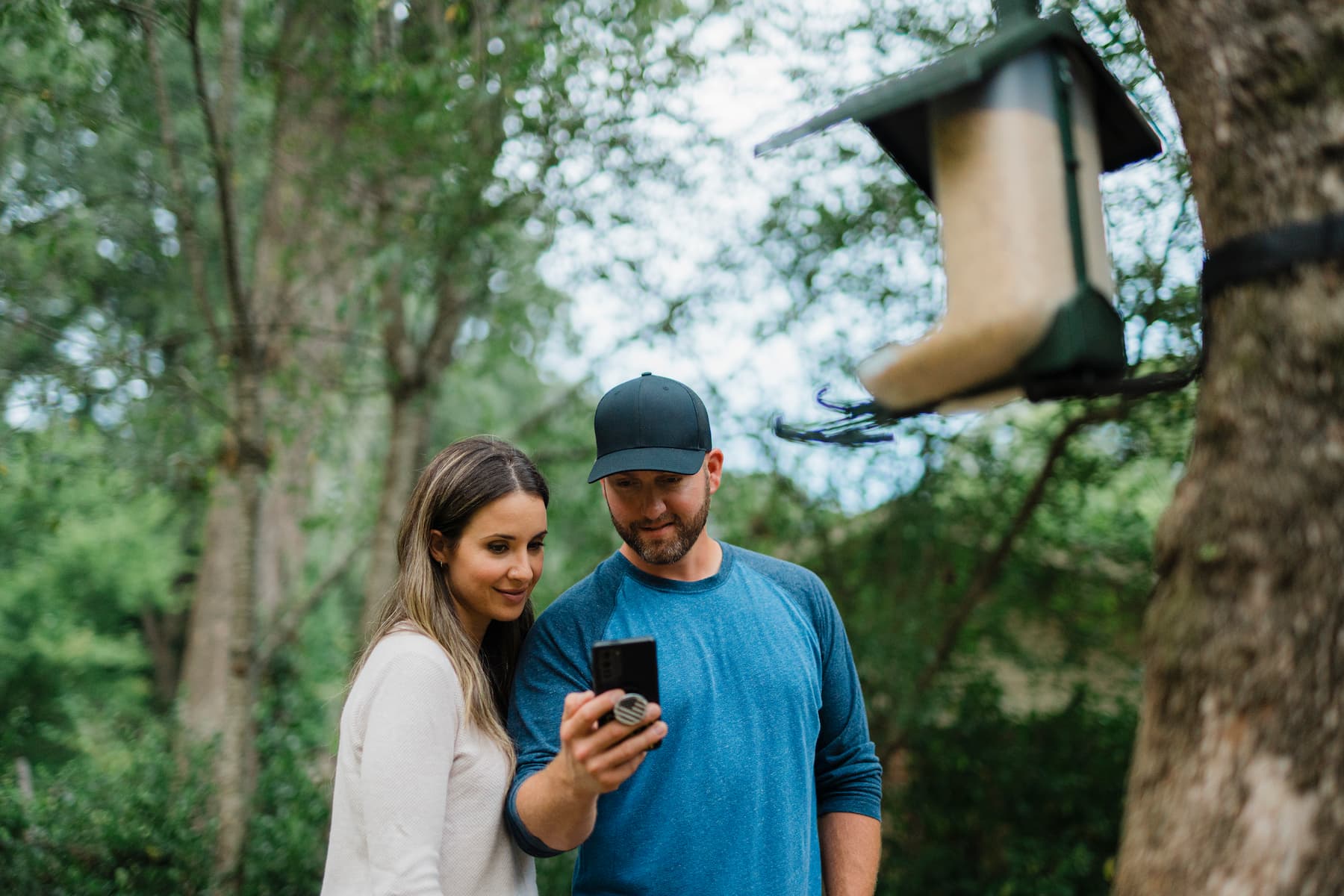 Nine reasons to install a backyard bird feeder cam