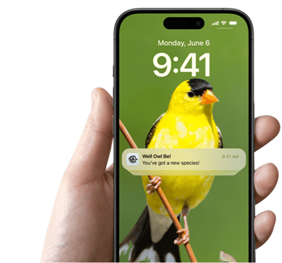 Real-Time Notifications