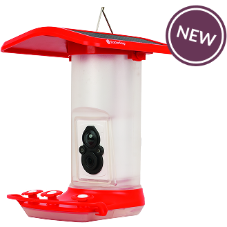 Smart Hummingbird Feeder