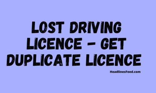 Lost Driving Licence What to Do Now ? Steps to Follow 2020